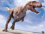 best location to view ar clip