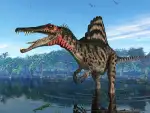 best location to view ar clip