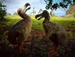 best location to view ar clip